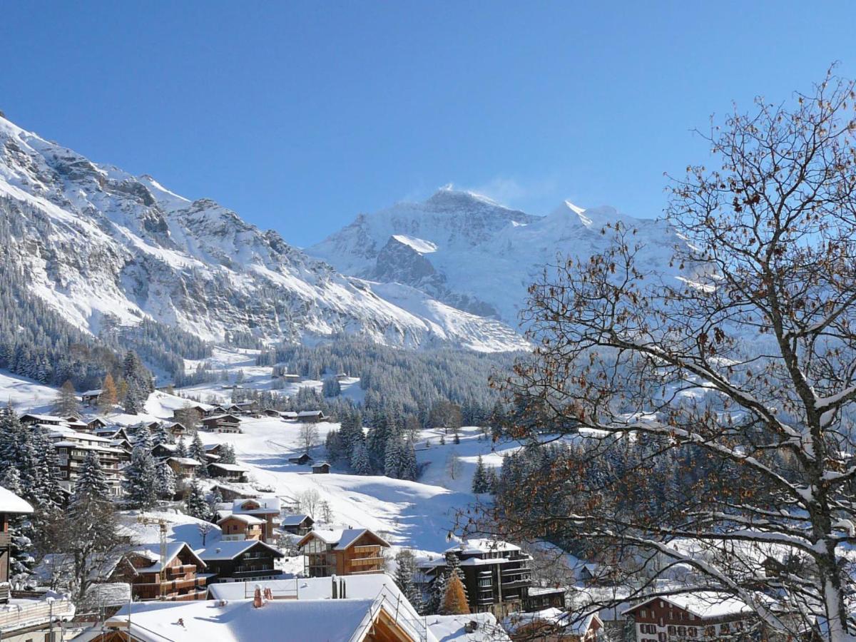 Apartment Panoramapark Soleil Haus D Apt 3 By Interhome Wengen Exterior photo