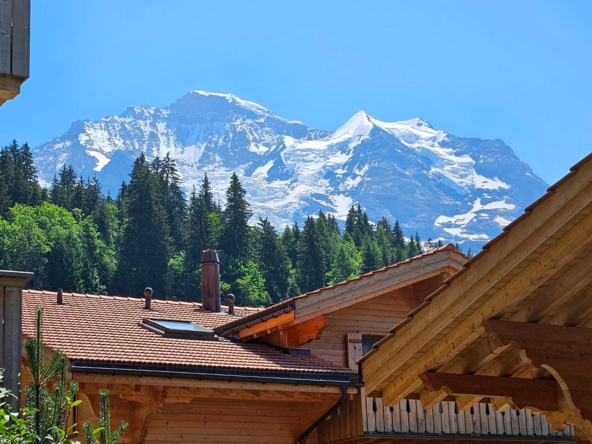 Apartment Panoramapark Soleil Haus D Apt 3 By Interhome Wengen Exterior photo